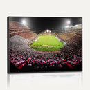 University of Maryland Terrapins Football Team Print -