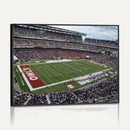 The Temple University Owls Athletics Team Print -