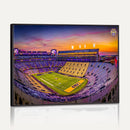 The Louisiana State University Tigers Football Team Print -