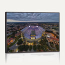 The Louisiana State University Tigers Football Team Print -