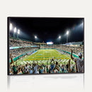 The Tulane University Green Wave Football Team Print - New