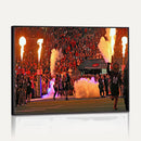 The University of Texas at San Antonio Roadrunners Football