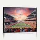 Oregon State Beavers Football Team Print - Corvallis Reser