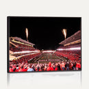 Oregon State Beavers Football Team Print - Corvallis Reser
