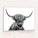 Scottish Highland Cow Cattle Art Print Wall Art Canvas Print