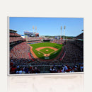 Cincinnati Reds Baseball Canvas Print - American Ball