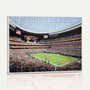 Chicago Bears Soldiers Field Wall Art Canvas Print – Framed