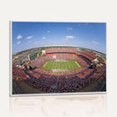 William Brice Stadium Wall Art Canvas Print – Stadium Crowd