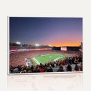Dooley Stadium Wall Art, Sports Arena Canvas Print, Dooley