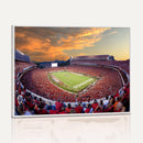 Dooley Stadium Wall Art, Sports Arena Canvas Print, Dooley