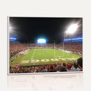 Dooley Stadium Wall Art, Sports Arena Panoramic Canvas
