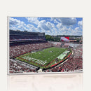 Georgia Bulldogs Stadium Wall Art Canvas Print, Sanford