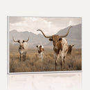 Rustic Texas Longhorn Cow Canvas Wall Art Print, Rustic Farm Animal Photography Print, Farmhouse Country Decor, Western Ranch Art