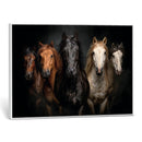 Horse Wall Art Canvas Print, Wild Horses Portrait Photography, Dramatic Equestrian Decor, Black Brown White Horse Herd, Rustic Ranch Art