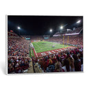 Washington-Grizzly Stadium Canvas Print, American Football