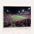 Washington-Grizzly Stadium Canvas Print, American Football