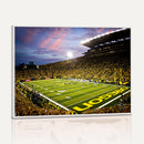 University of Oregon Ducks Football Team Print - Eugene