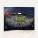 Penn State University Nittany Lions Football Team Print -