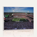 South Carolina Gamecocks Football Team Print - Columbia