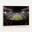 Eagles Field Stadium Wall Art - Philadelphia Eagles Football