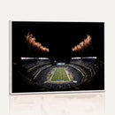 Eagles Field Stadium Wall Art | Philadelphia Eagles Football