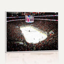 PNC Arena Raleigh North Carolina Hurricanes Hockey Stadium