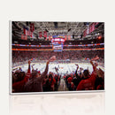 Carolina Hurricanes Ice Hockey Stadium Wall Art, Carolina