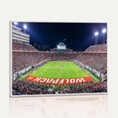NC State Wolfpack Canvas Print - Raleigh Carter-Finley