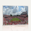 NC State Wolfpack Football Team Print Canvas- Raleigh