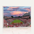 Carter-Finley Stadium Art Sunset Game Triple Canvas Wall Art