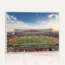 Framed Houston Cougars Football Team Print - Houston TDECU