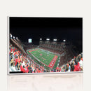 Houston Cougars Football Team Print - Houston TDECU Stadium