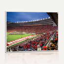 Wisconsin Badgers Football Team Print - Madison Camp Randall