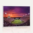 East Carolina University Pirates Football Print Canvas-