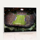 Florida Atlantic University Owls Football Team Print - Boca
