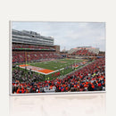 University of Illinois Fighting Illini Football Team Print -