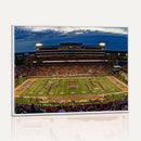University of Illinois Fighting Illini Football Team Print -
