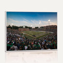 University of Charlotte 49ers Football Team Print -