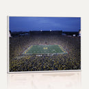 University of Michigan Wolverines Football Team Print - Ann