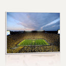 University of Michigan Wolverines Football Team Print - Ann