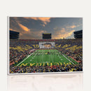 University of Michigan Wolverines Print Canvas, Football
