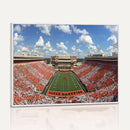 Oklahoma State Cowboys Football Team Print - Stillwater