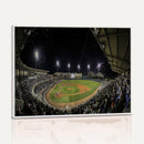 Olsen Field at Blue Bell Park - Texas A&M Aggies Baseball