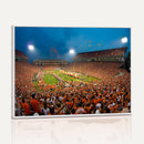 Clemson University Tigers Football Team Print - Clemson