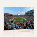 Michigan State Spartans Football Team Art Print - East