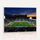 Michigan State Spartans Football Team Print - East Lansing