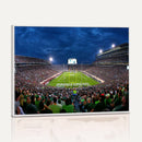 Michigan State Spartans Football Team Print - East Lansing