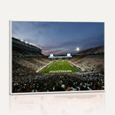 Michigan State Spartans Football Team Print - East Lansing