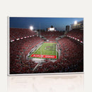 Ohio State University Buckeyes Football Team Print -