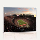 Ohio State University Buckeyes Football Team Print -